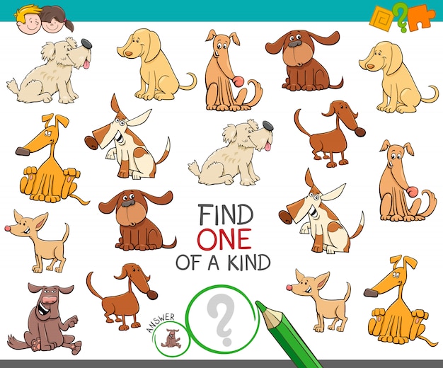 juegos educativos para perros