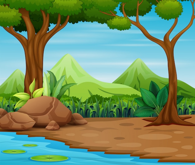 Escena del bosque con árboles y hermoso paisaje Vector Premium