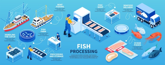 Esquema De Infograf As Isom Tricas De Procesamiento De Pescado Desde La