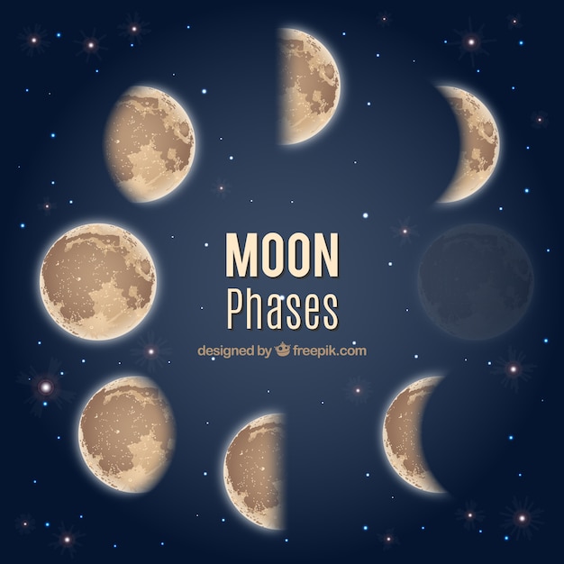 Fases de la luna | Descargar Vectores gratis