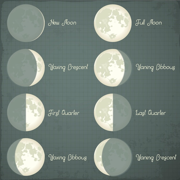 Fases De La Luna Conjunto De Iconos Vector Premium