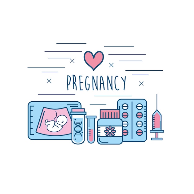 La Fertilizaci N De La Mujer Medicina Para La Reproducci N Del Embarazo