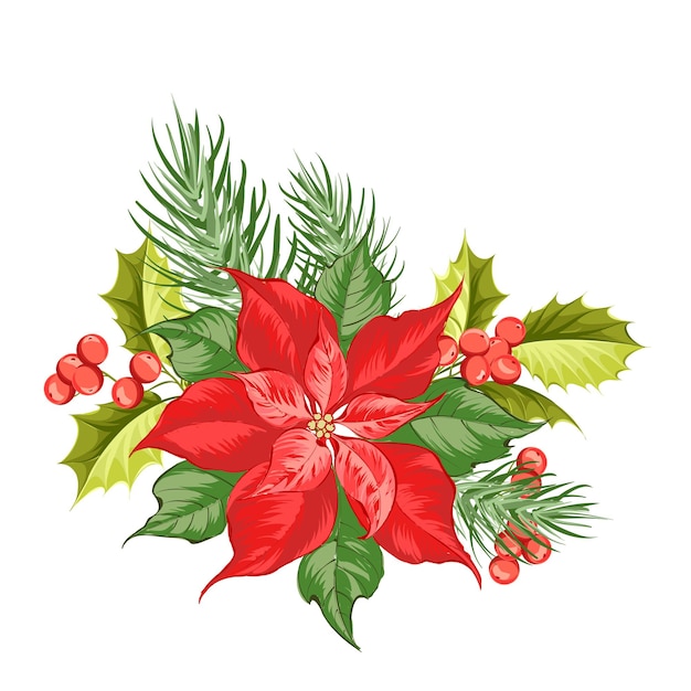 Flor De Nochebuena | Vector Premium