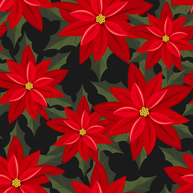 Flores De Navidad De Flor De Pascua De Patrones Sin Fisuras Vector Premium