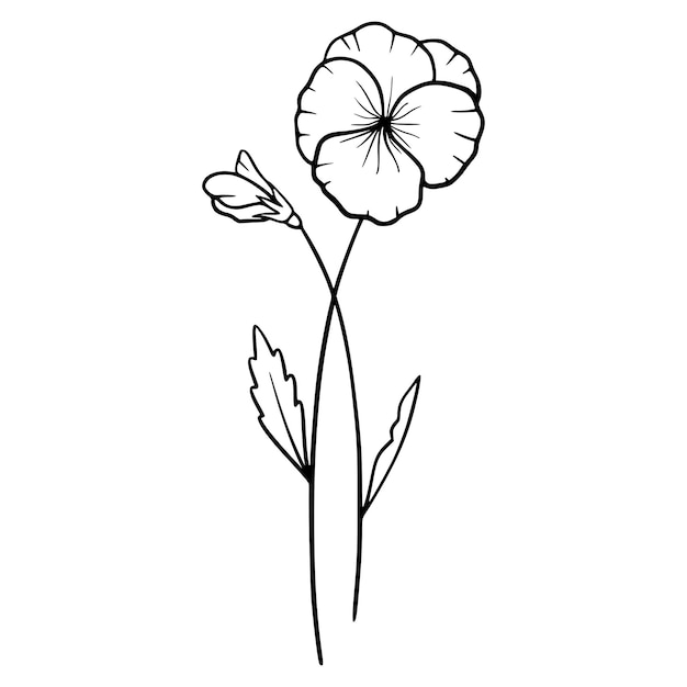 Flores violetas sobre fondo blanco ilustración dibujada a mano de una