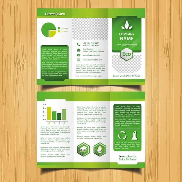 Folleto Verde De Eco Trifold Vector Premium 6875