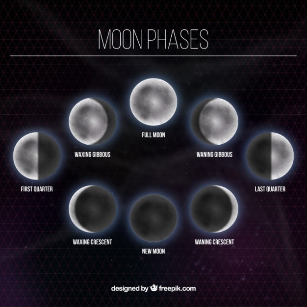 Fondo de fases lunares | Descargar Vectores gratis