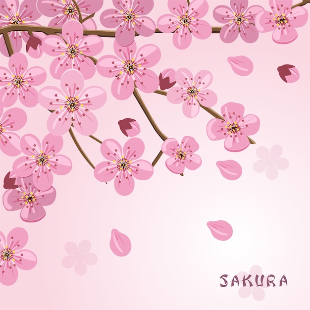 Fondo De Flores De Sakura Arbol De Cerezo Japones Vector Premium