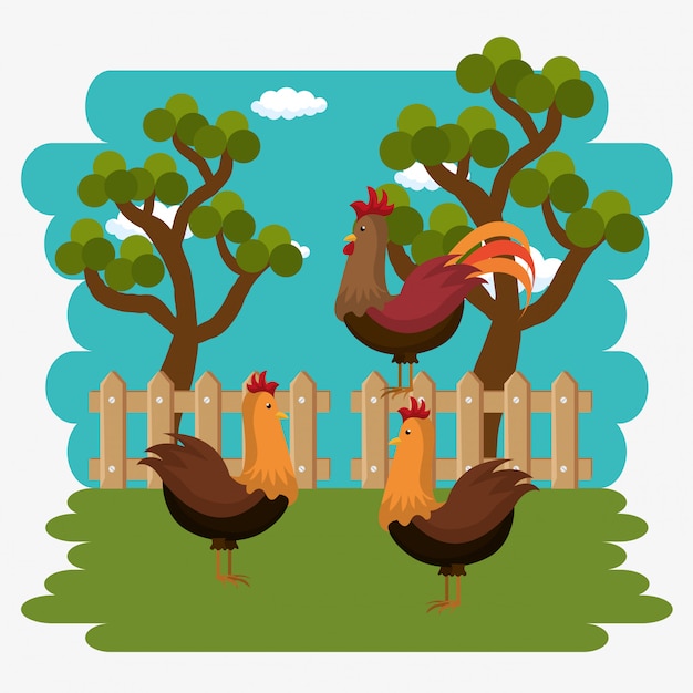 Gallos En La Escena De La Granja | Vector Gratis