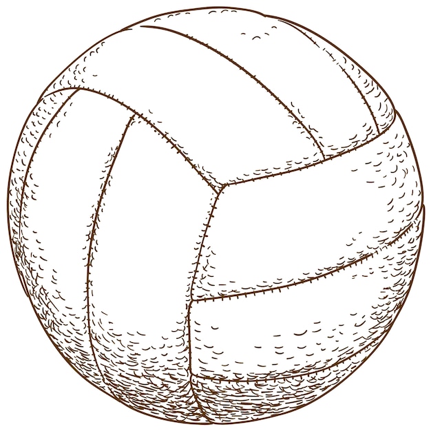 Pelota De Voleibol Dibujo