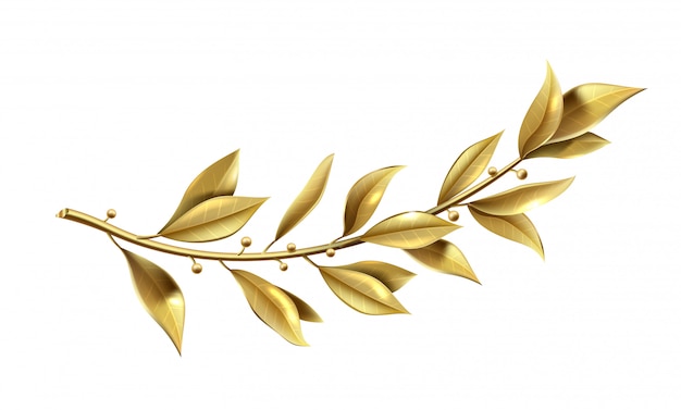 Gráficos vectoriales. la rama de laurel dorado es parte de la corona