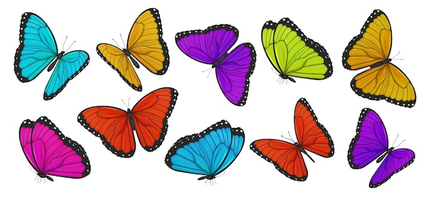 Gran Colección De Mariposas Coloridas Ilustración Vectorial Vector Premium 5238