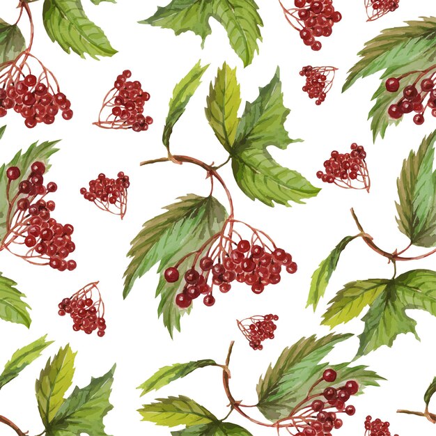 Hojas bayas otoño uvas silvestres serbal bellotas ilustración acuarela