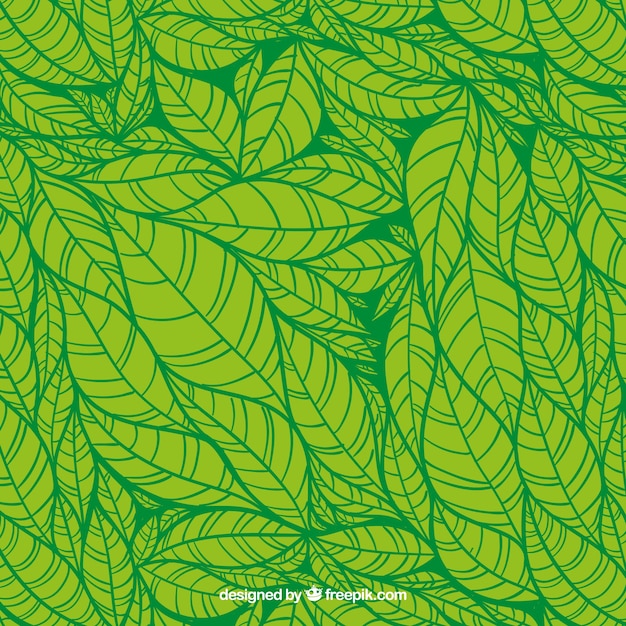 Hojas verdes patrón dibujado a mano | Vector Premium