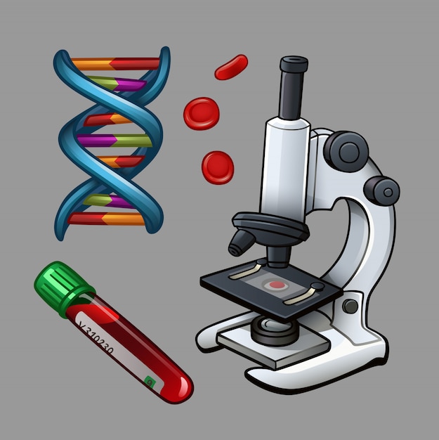 Método microscópico
Se realiza un frotis de la presunta sangre líquida o proveniente de un macerado con solución salina permi