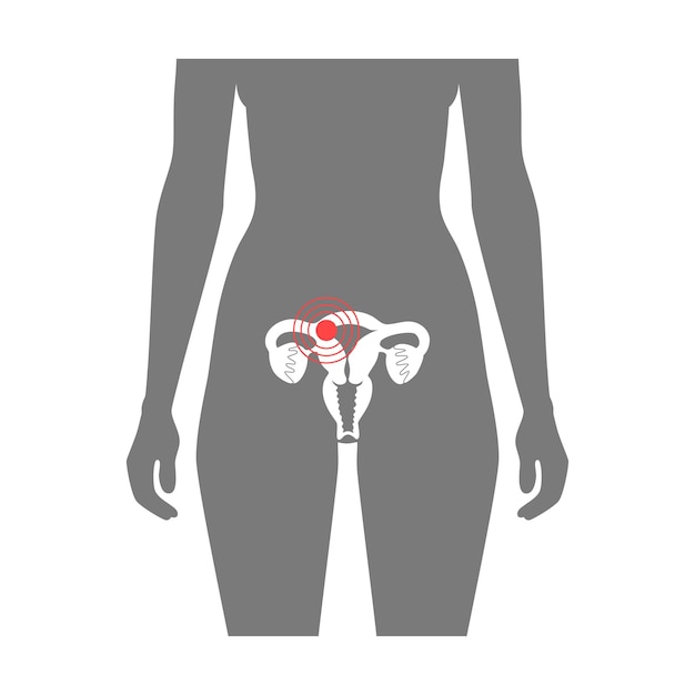 Ilustración aislada del vector plano de la anatomía del sistema