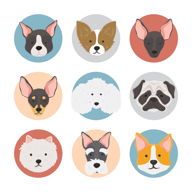 Ilustración De La Colección De Perros Vector Gratis 