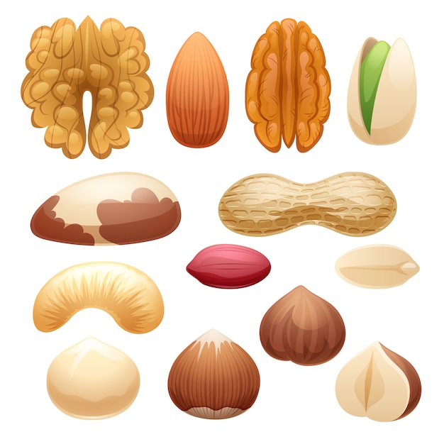 Ilustraci N De Conjunto De Nueces Vector Premium