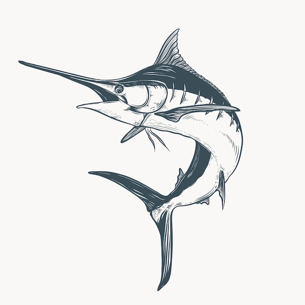 Ilustración de dibujo de marlin Vector Premium