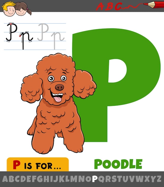 My Image 11