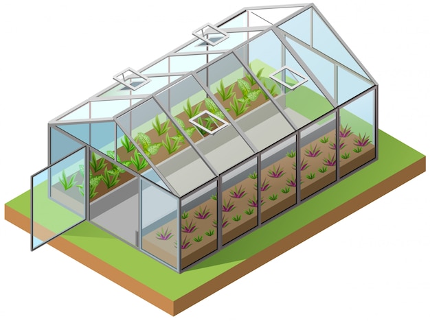 Ilustración isométrica 3d de invernadero cultivo de plántulas en