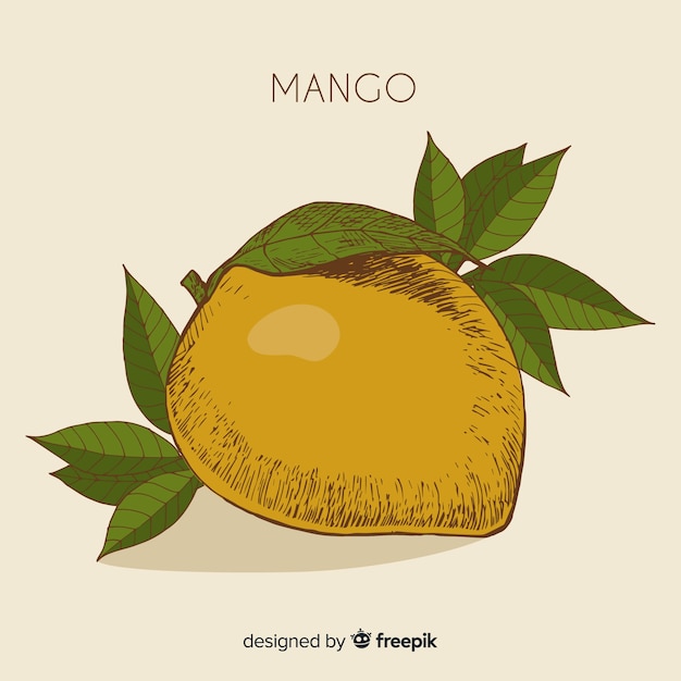 Ilustraci N Mango Dibujada A Mano Vector Gratis