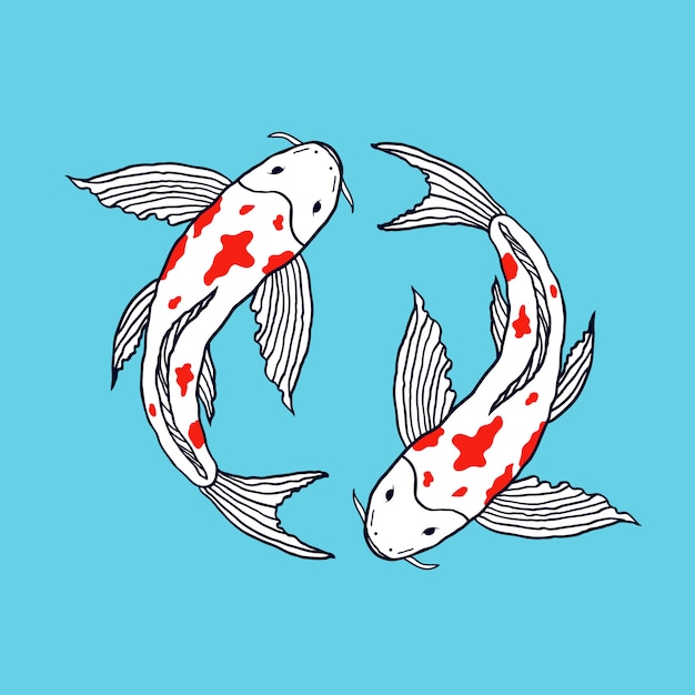 Ilustración De Peces Koi Vector Premium 8712