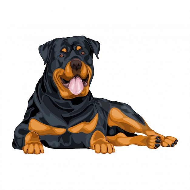 Ilustración de perro rottweiler Vector Premium