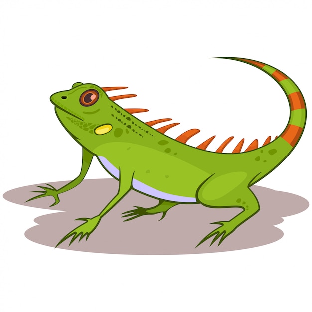 Ilustración de vector de dibujos animados de reptiles iguana aislado en ...