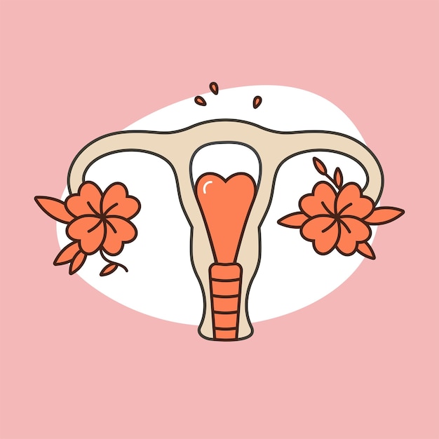 Ilustración De Vector Sistema Reproductor Femenino En Flores Salud De Anatomía Mujer 4500