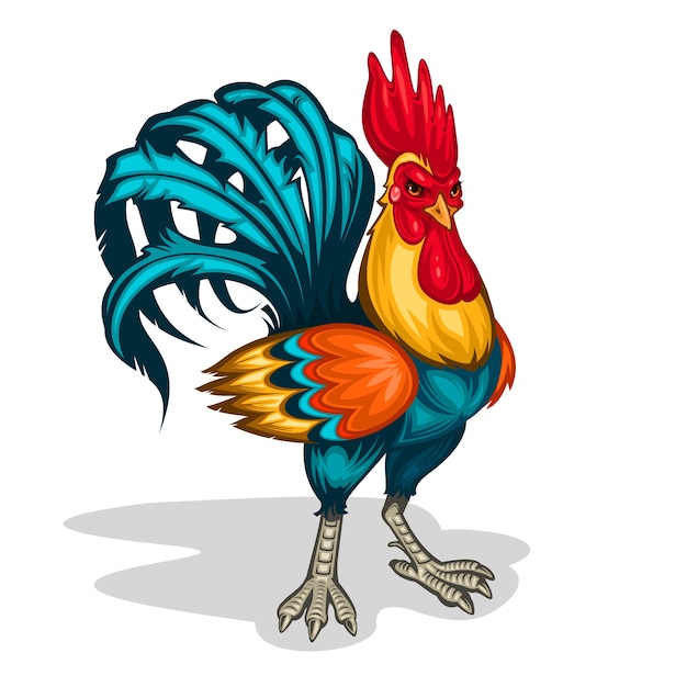 Ilustración vectorial de un gallo Vector Gratis
