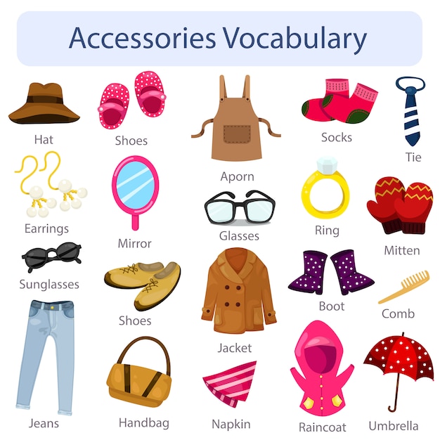 Ilustrador De Accesorios De Vocabulario Vector Premium