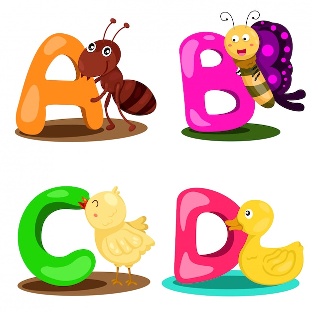 Ilustrador Alfabeto Animal Carta - A, B, C, D | Vector Premium