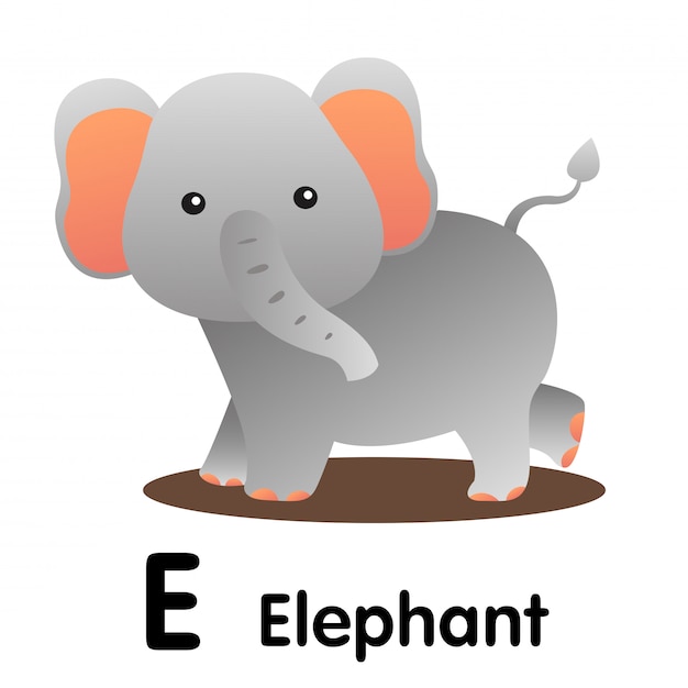 Ilustrador De E Elefante Animal Vector Premium