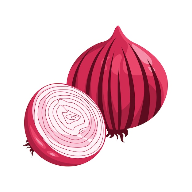 Imagen De Cebolla Shallot Vector Premium