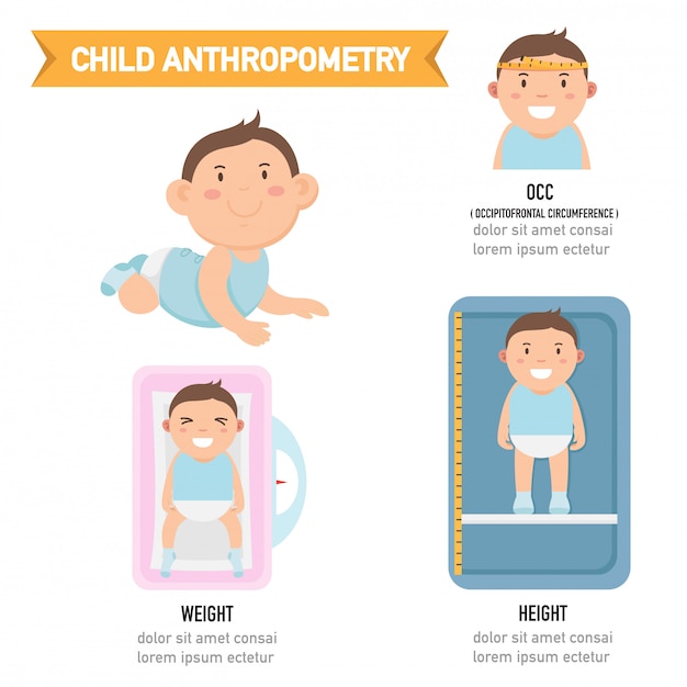 Infografia Antropometria Infantil 74440 439 