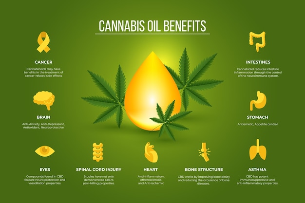 Infografía de beneficios para la salud del aceite de cannabis Vector