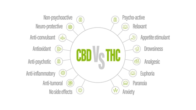 Infografía Blanca Con Comparación De Cbd Y Thc. Cbd Vs Thc, Lista De ...