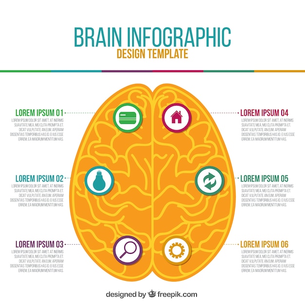 Infografia Redonda De Cerebro Humano Con Iconos Vector Gratis Images 2207