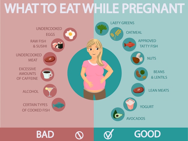 Infografía de dieta de mujer embarazada | Vector Premium