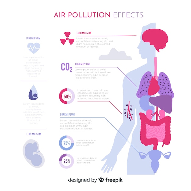 Contaminacion Del Aire Dano Directo Al Cuerpo Humano Nbkomputer 0811