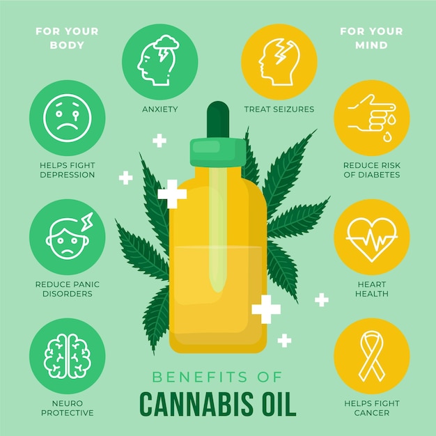 Infografía Ilustrada De Los Beneficios Del Aceite De Cannabis. | Vector ...