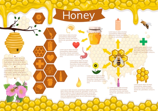 Infografía De Miel Y Abejas Vector Premium 2918