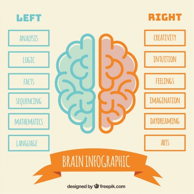 Infografía Minimalista Del Cerebro Humano En Diseño Plano Vector Gratis 7332