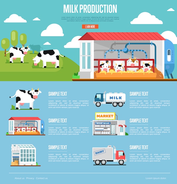 Infografía de producción de leche en estilo plano | Vector Premium