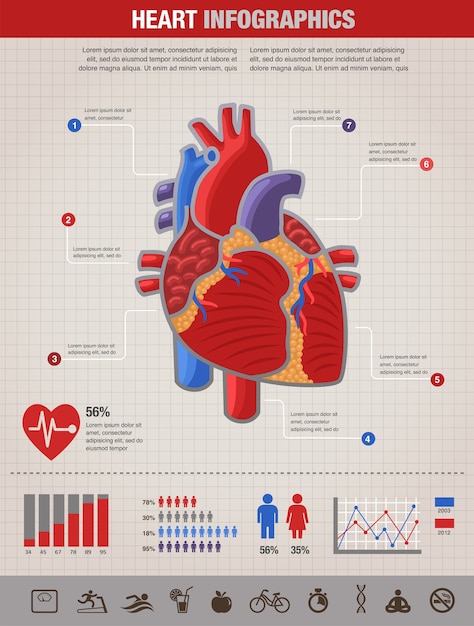 Infografía De Salud Enfermedades Y Ataques Cardíacos Del Corazón Humano Vector Premium