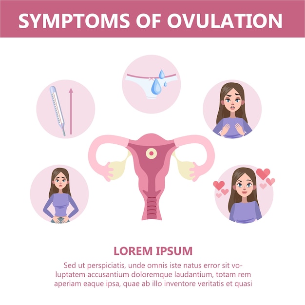 Infografía De Síntomas De Ovulación Anatomía Femenina Ginecología Vector Premium 0445