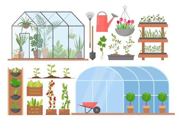 Invernaderos de cultivo de hortalizas de plantas de flores de