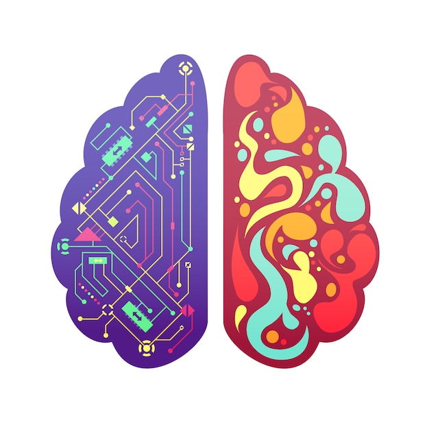 Izquierda y derecha cerebro humano hemisferios cerebrales pictórica figura colorida con diagrama de flujo y zonas de actividad ilustración vectorial vector gratuito