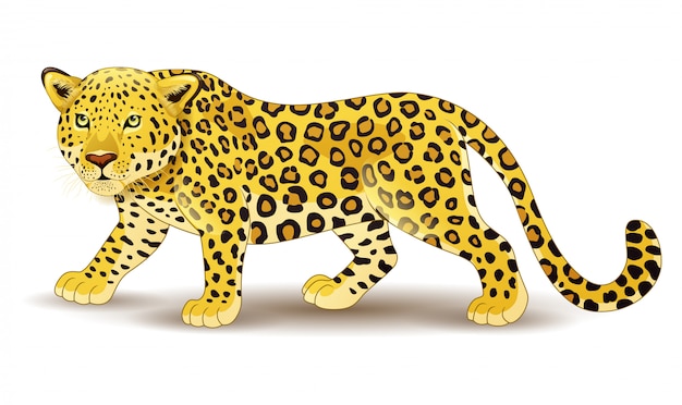 Leopardo de dibujos animados aislado sobre fondo blanco | Vector Premium